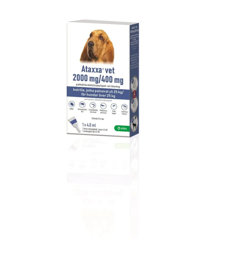 Ataxxa Vet 400 mg/2000 mg Paikallisvaleluliuos Koirille Yli 25 kg - Image 2