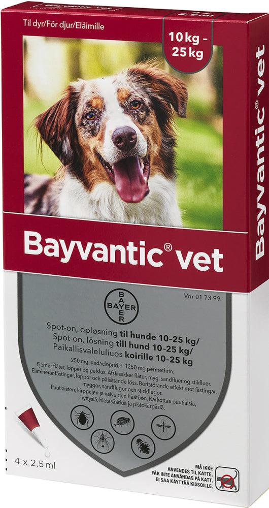 Bayvantic Vet Koirille 10-25 kg 250 mg/1250 mg Paikallisvaleluliuos