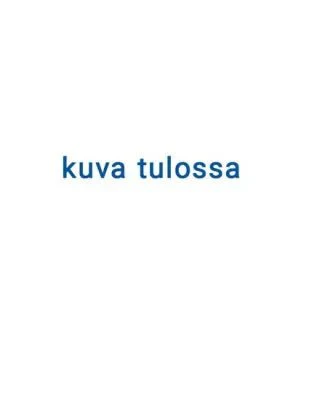 Pikkukuva 2