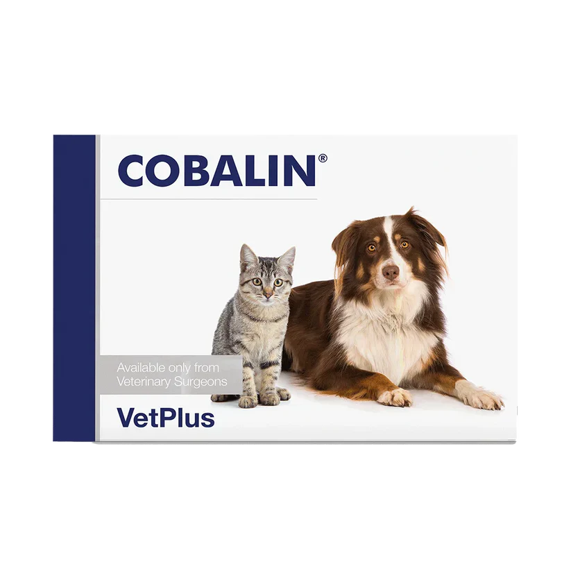 Cobalin 60 kaps Täydennysrehuvalmiste koirille ja kissoille