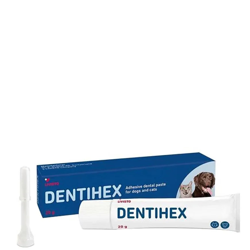 Dentihex Kiinnittyvä Hammasgeeli Koirille ja Kissoille
