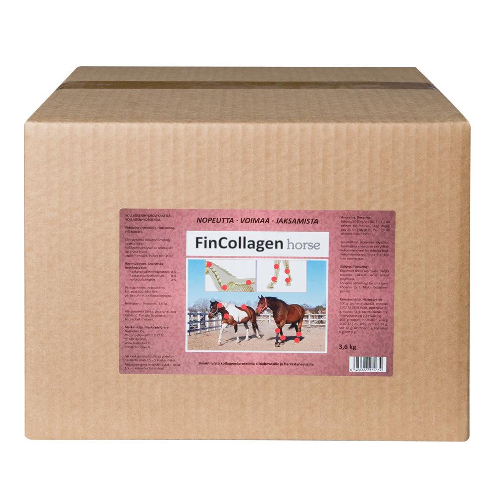 Fincollagen Horse - Image 2