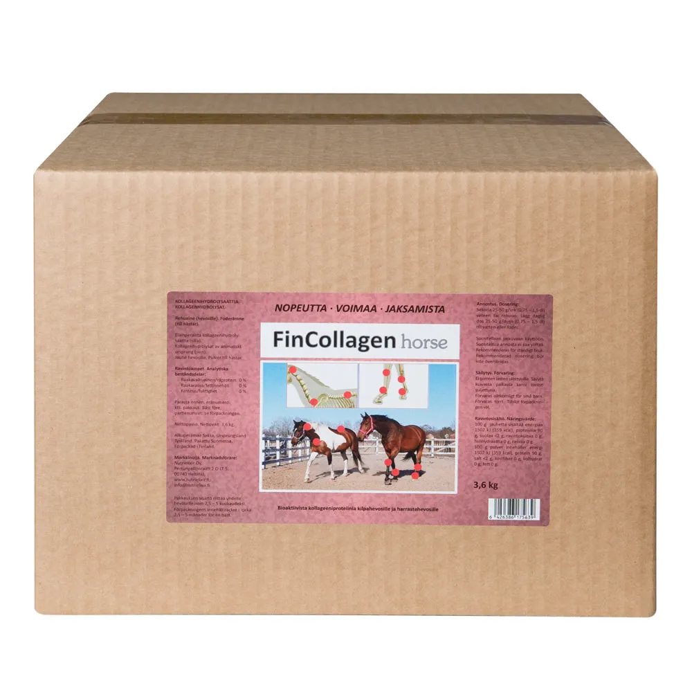 Fincollagen Horse - Image 3