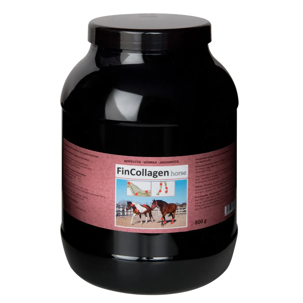Fincollagen Horse - Image 4