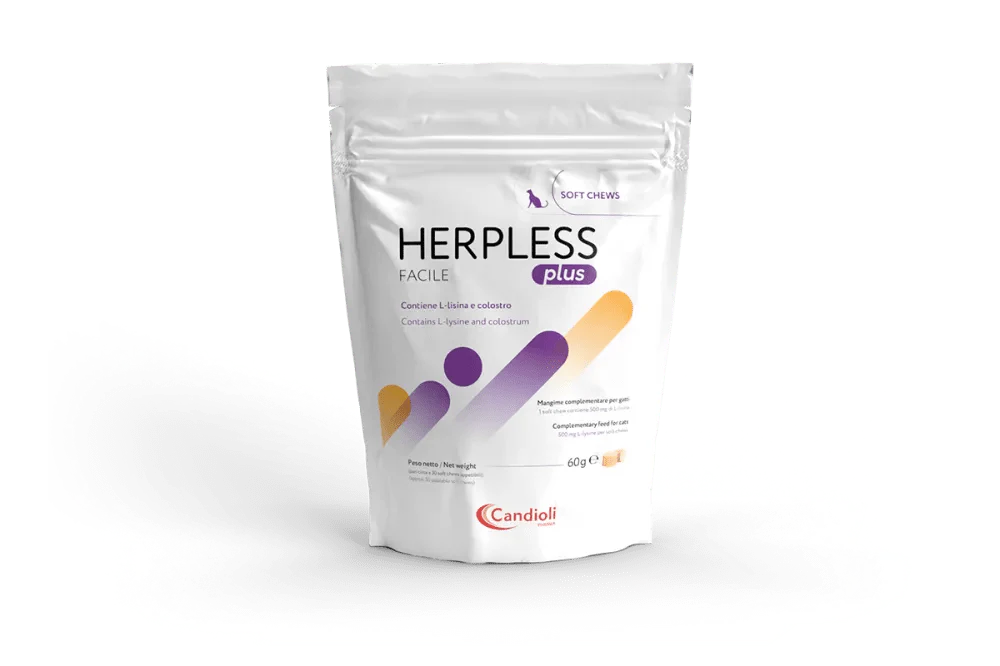 Herpless Facile - Image 2