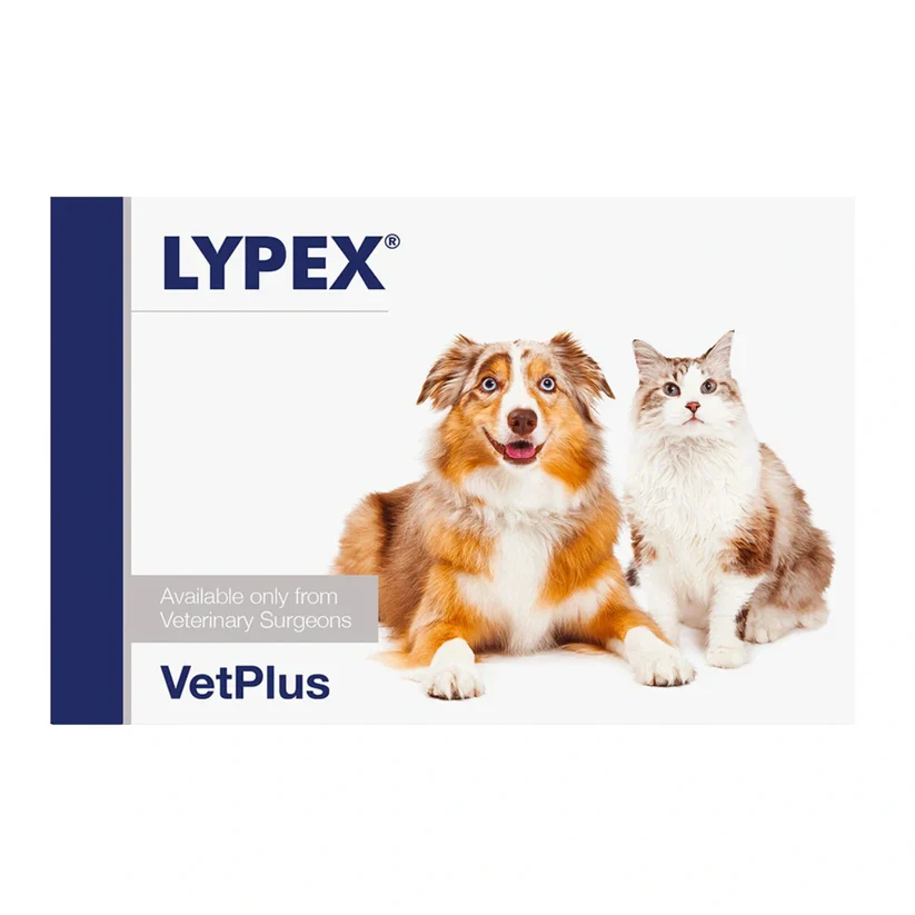Lypex Kaps Täydennysrehuvalmiste kapseli koirille ja kissoille 60 kpl