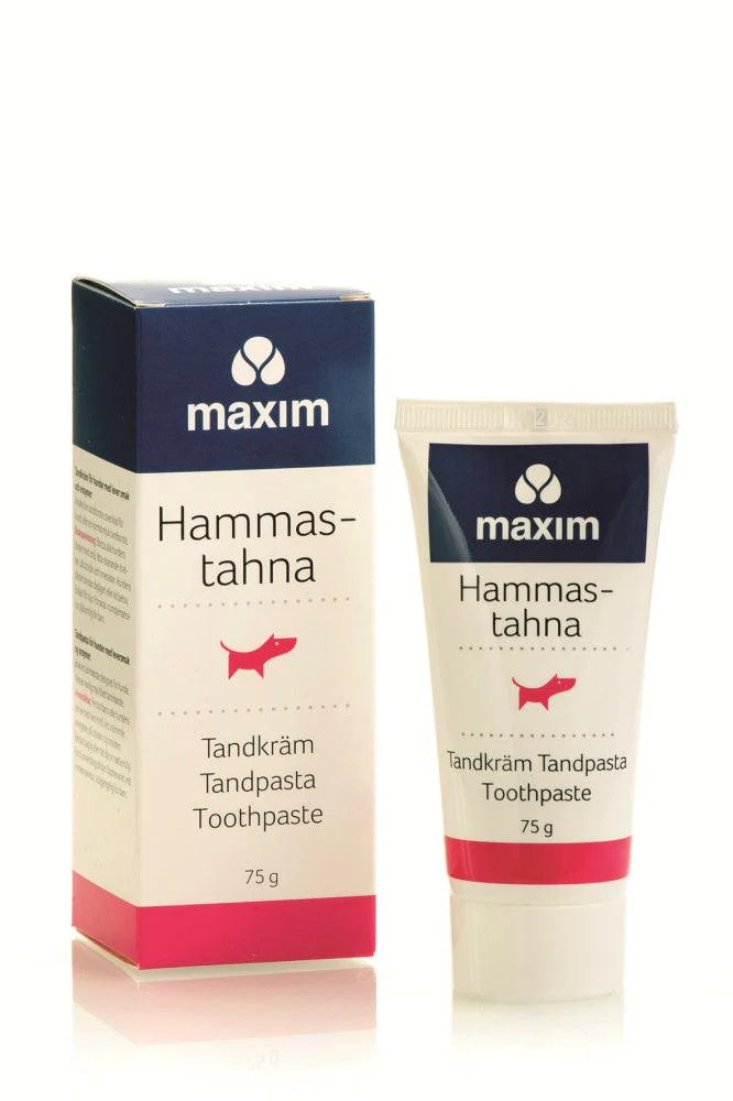 Maxim Koiran Hammastahna