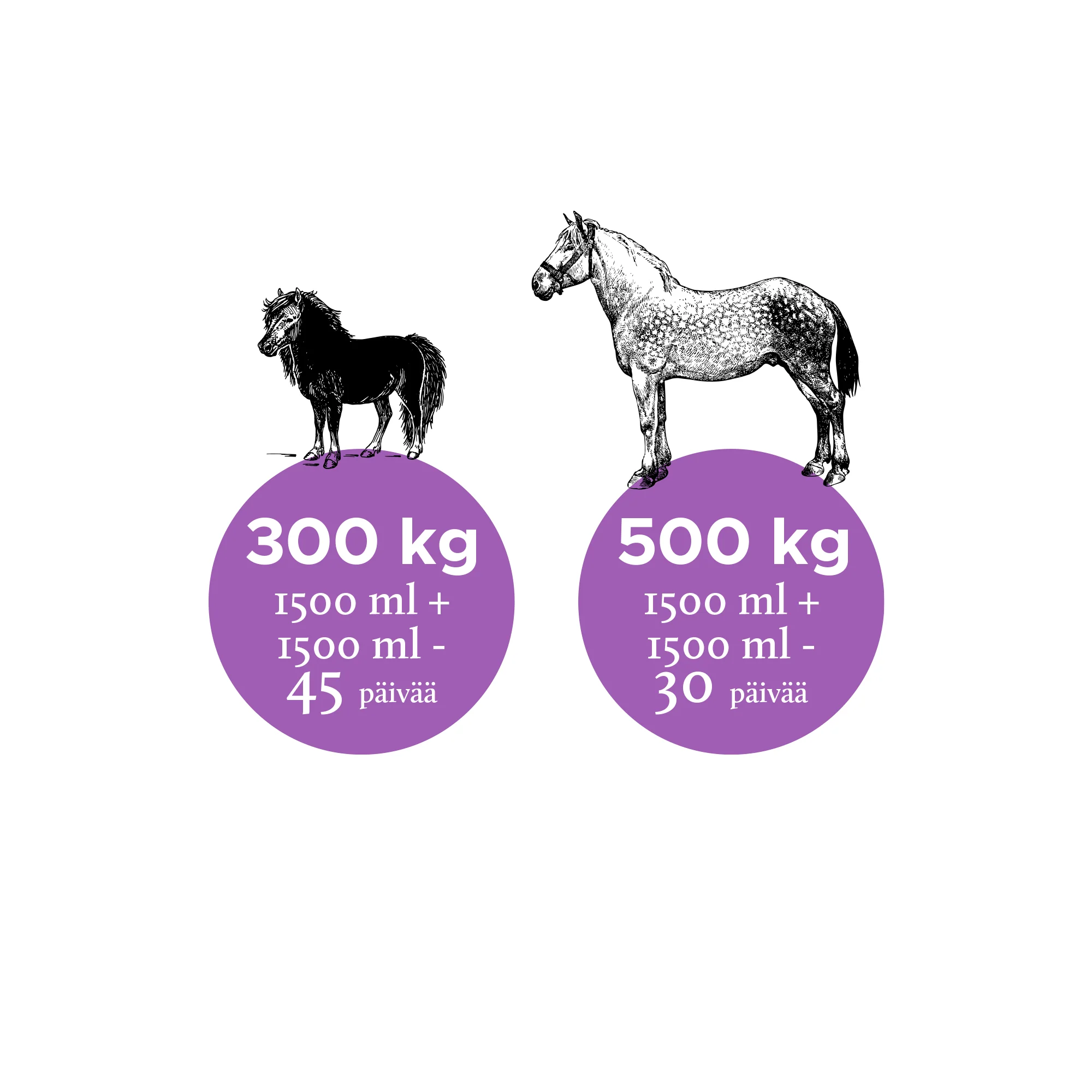 Nutrolin Horse Joint Duo 3000ml  - Rasvahapot Hevoselle - Image 2