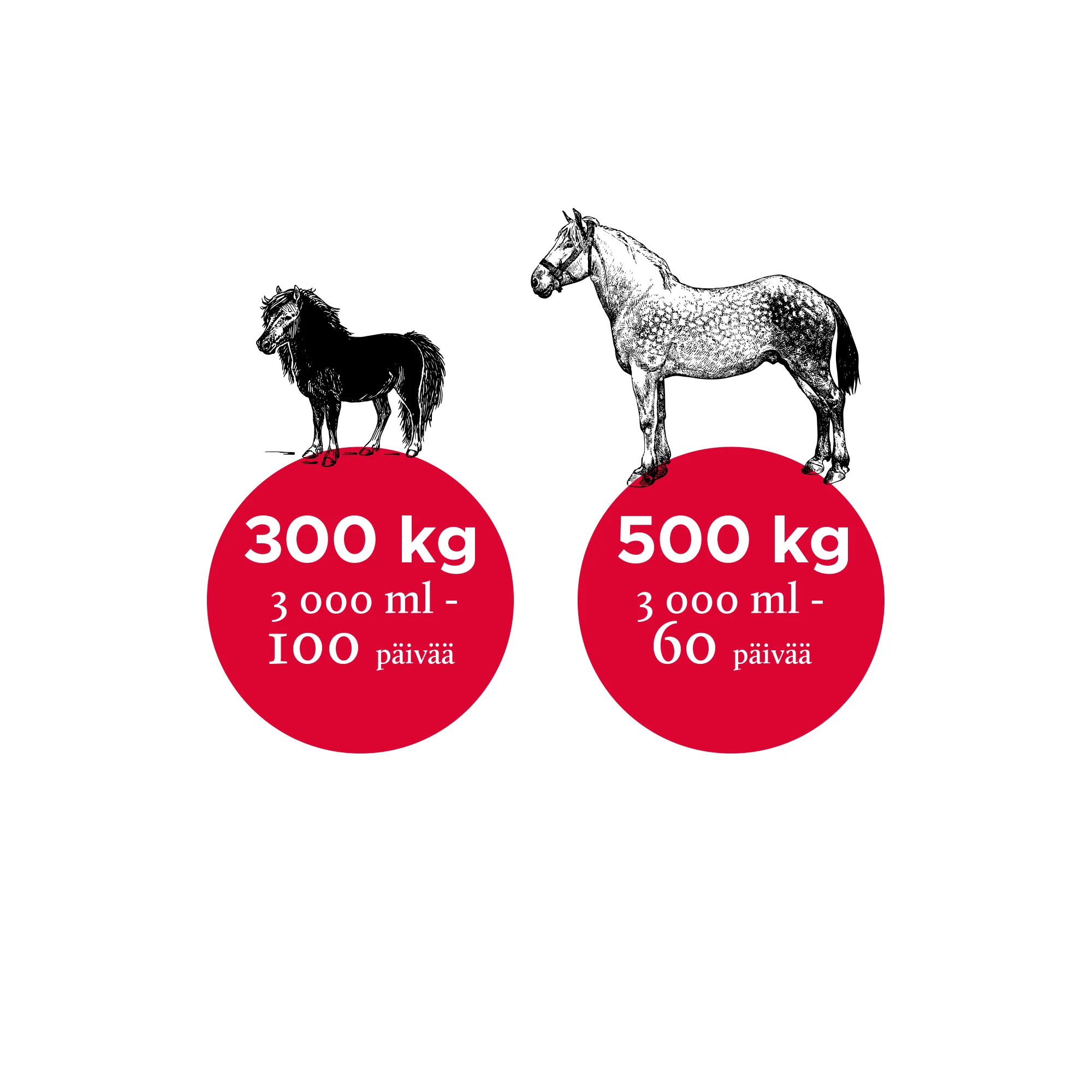 Nutrolin Horse Sport 3000ml - Rasvahapot Hevoselle - Image 3