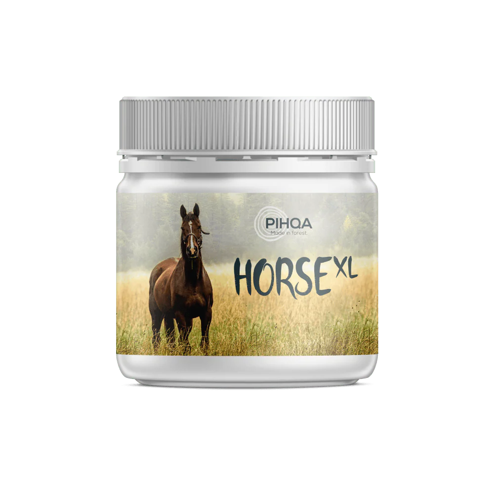 Pihqa Horse XL Kuusenpihkavoide