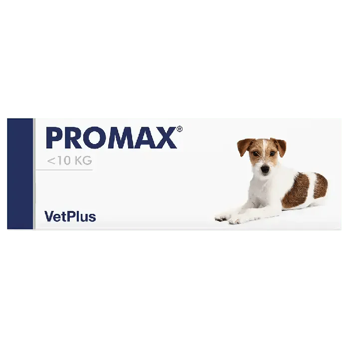 Promax oraalipasta Akuutin ripulin hoitoon koirille, kissoille ja kaneille