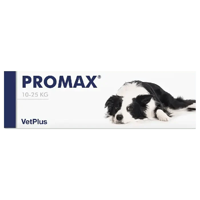 Promax oraalipasta Akuutin ripulin hoitoon koirille, kissoille ja kaneille - Image 2