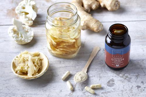 Terranova Fermented Ginger FERZINGER, 50 kaps - Image 2