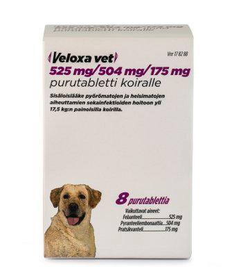 Veloxa Vet 175 mg/504 mg/525 mg Purutabl - Image 2