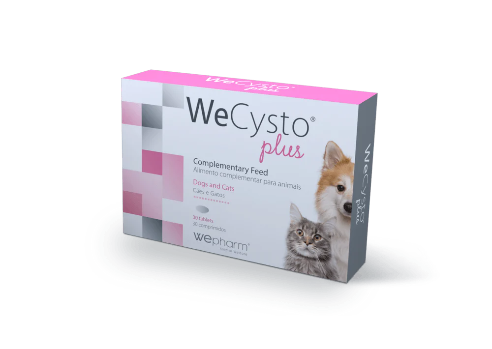 Wecysto Plus Makutabletit