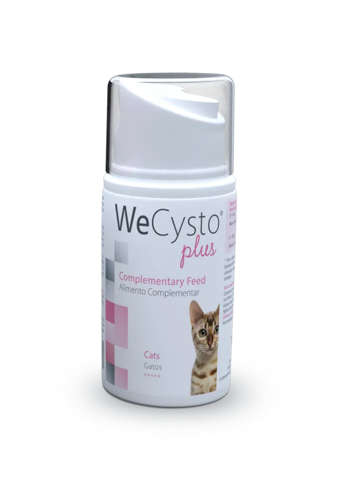 Wecysto Plus Oral Gel - Image 2