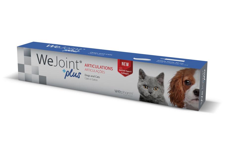 Wejoint Plus Makupasta